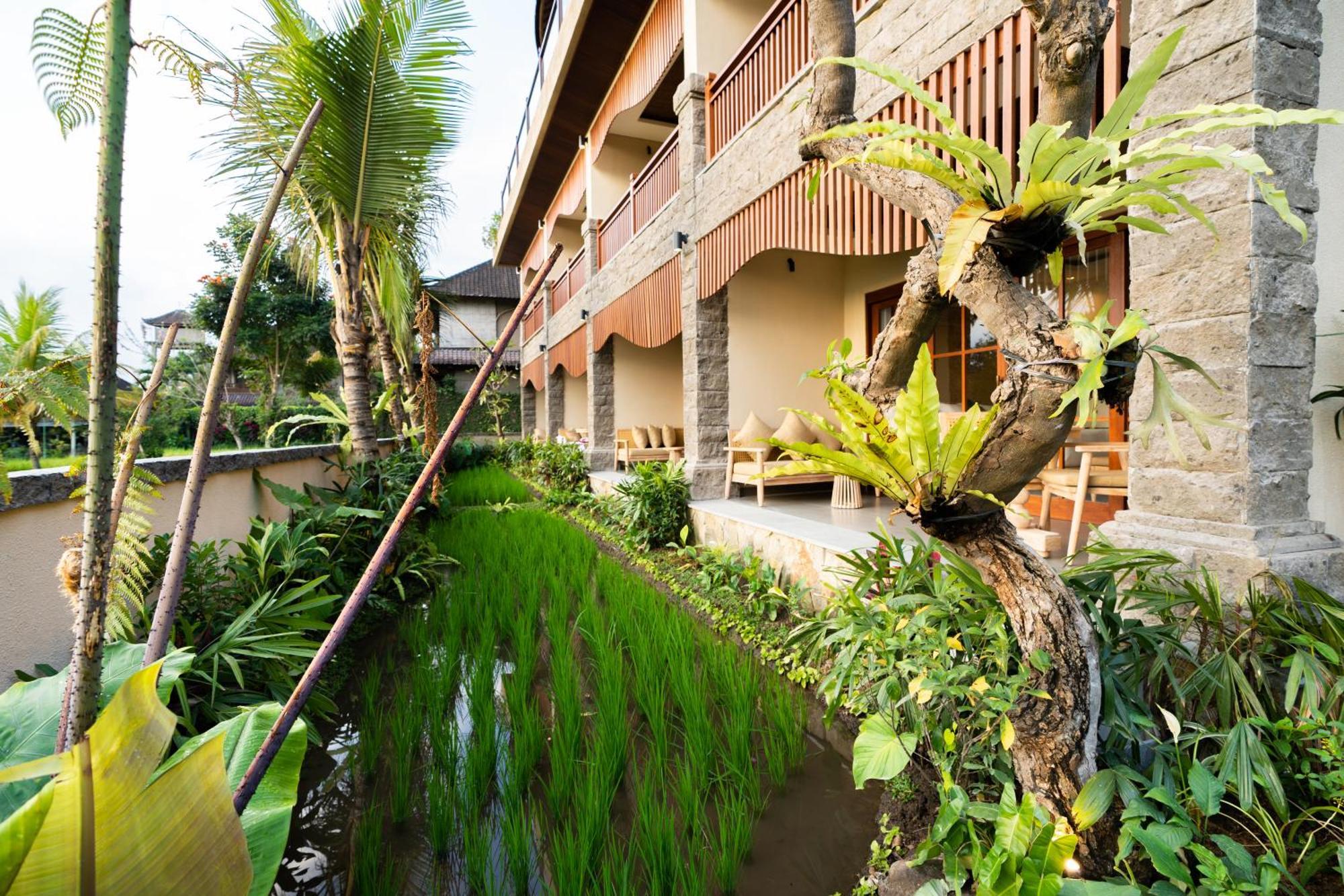 Bliss Ubud Spa Resort Luaran gambar